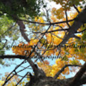 Meet your Posher, Johnston